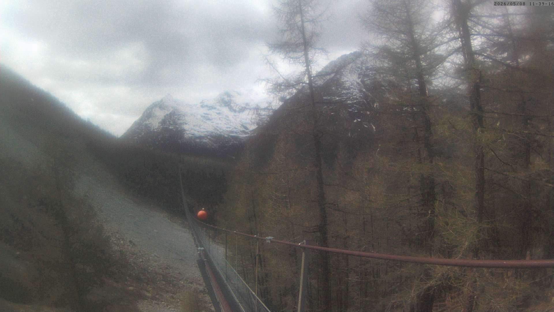 Archiv Foto Webcam Grächen: Charles Kuonen Hängebrücke