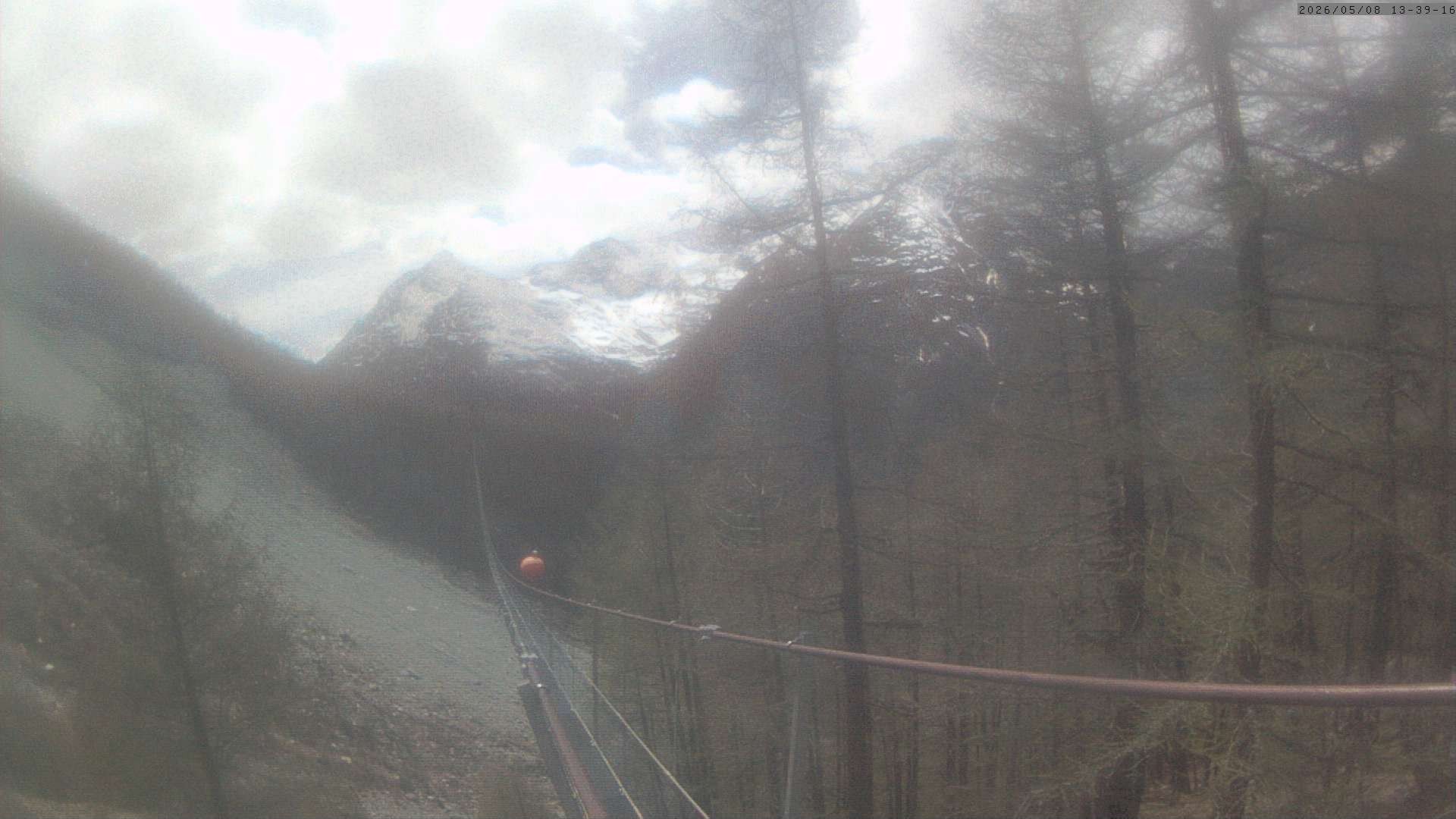 Archived image Webcam Grächen - View Suspension Bridge Charles Kuonen