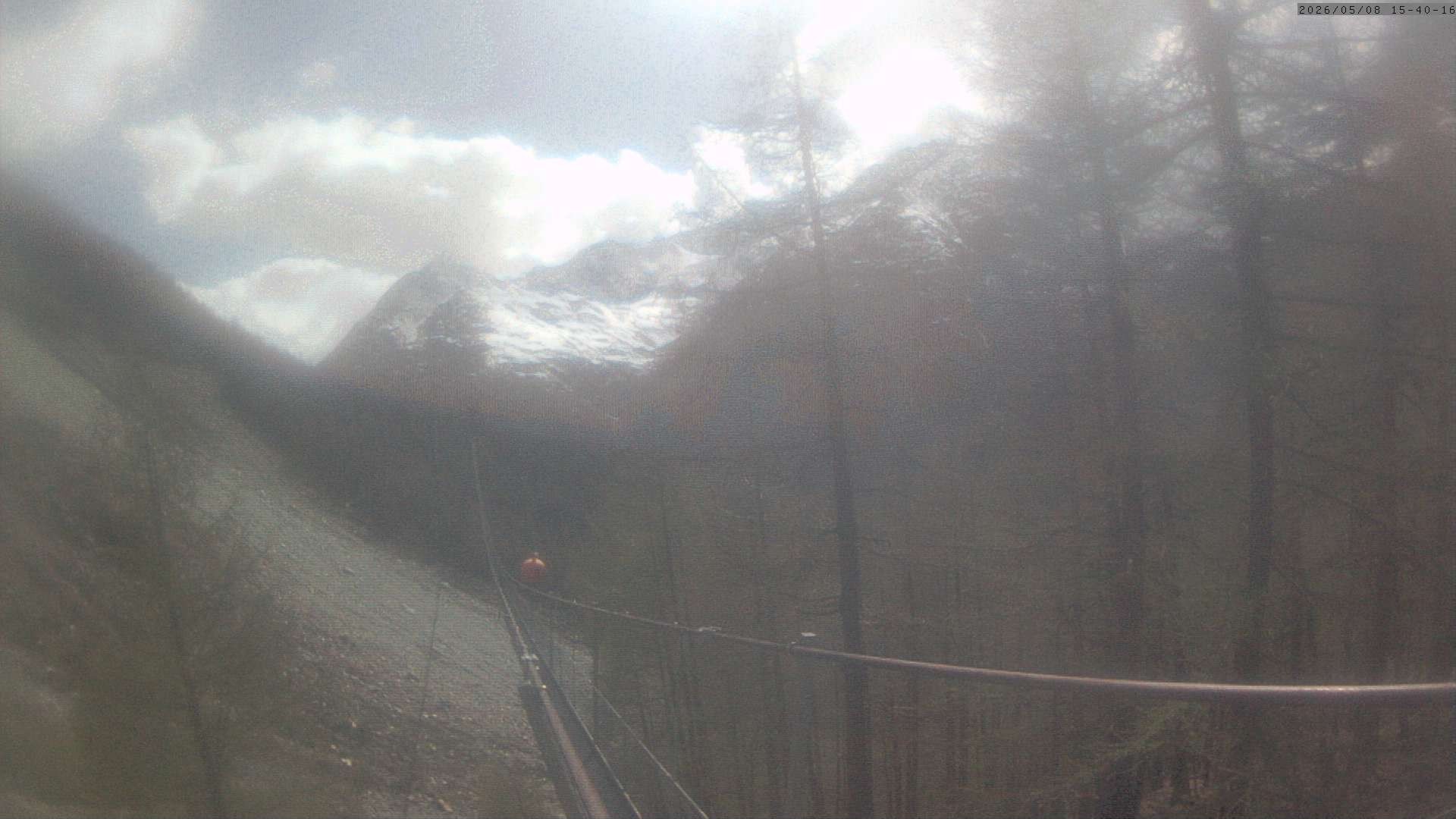 Archived image Webcam Grächen - View Suspension Bridge Charles Kuonen