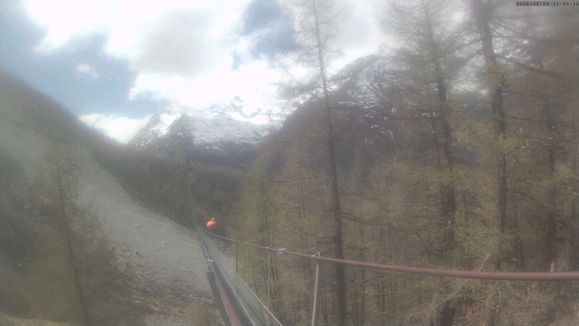 Archiv Foto Webcam Grächen: Charles Kuonen Hängebrücke