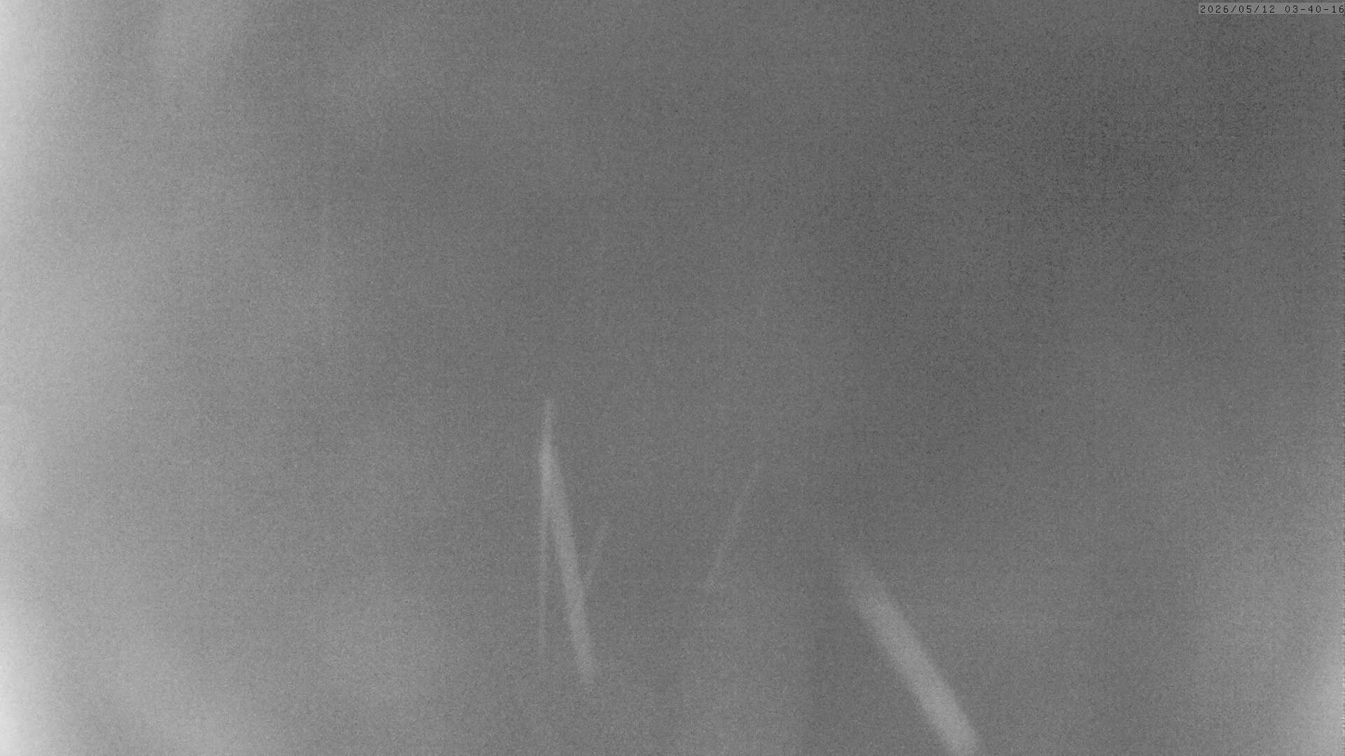Archiv Foto Webcam Grächen: Charles Kuonen Hängebrücke