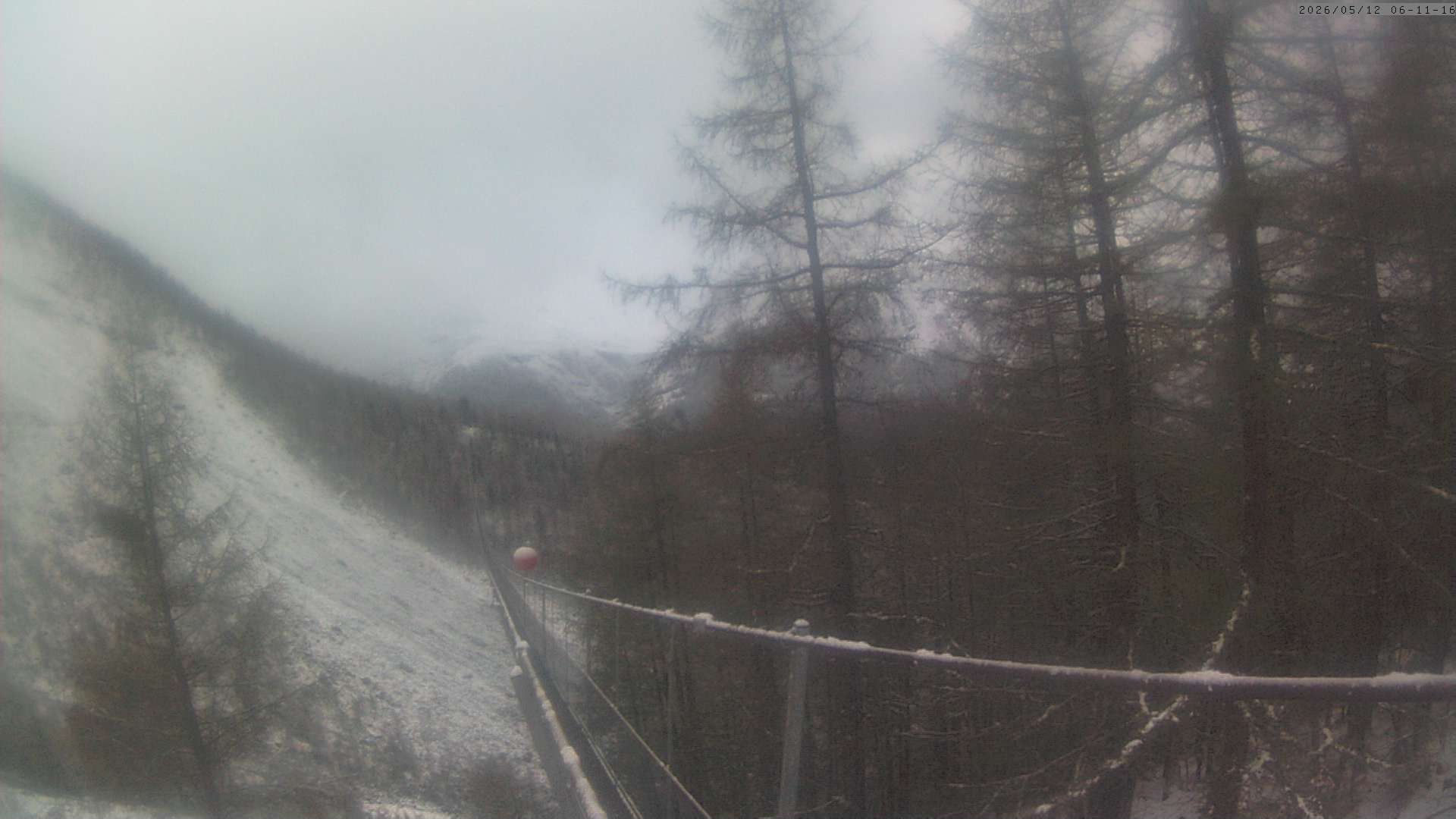 Archiv Foto Webcam Grächen: Charles Kuonen Hängebrücke