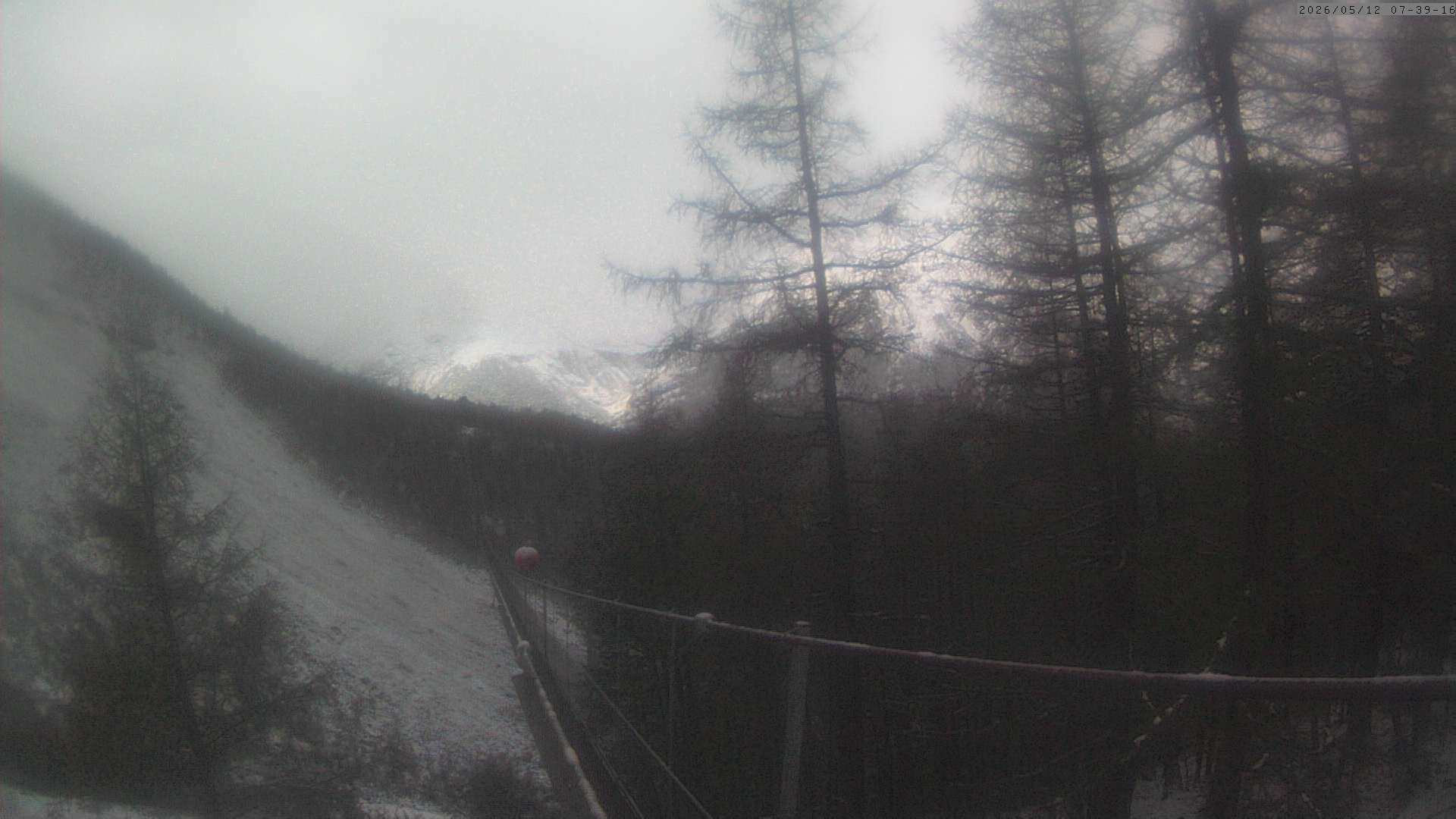 Archiv Foto Webcam Grächen: Charles Kuonen Hängebrücke