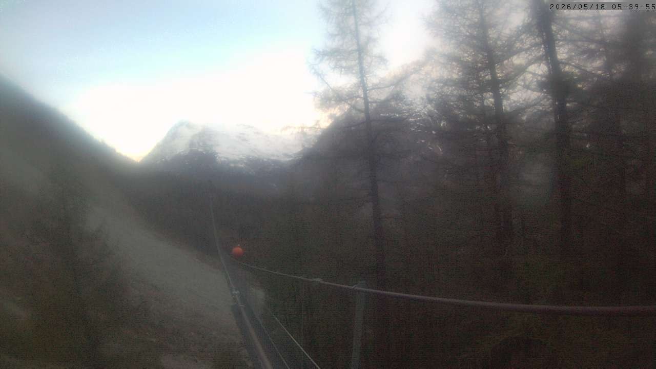 Archiv Foto Webcam Grächen: Charles Kuonen Hängebrücke