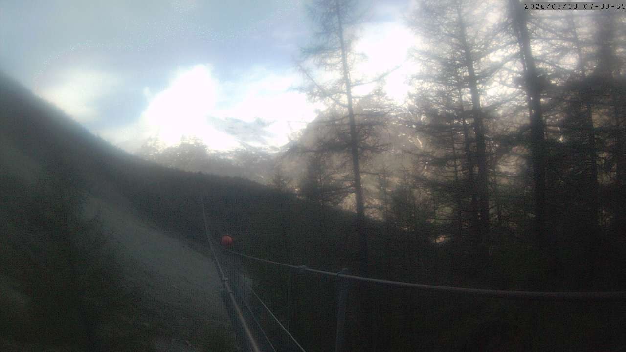 Archiv Foto Webcam Grächen: Charles Kuonen Hängebrücke