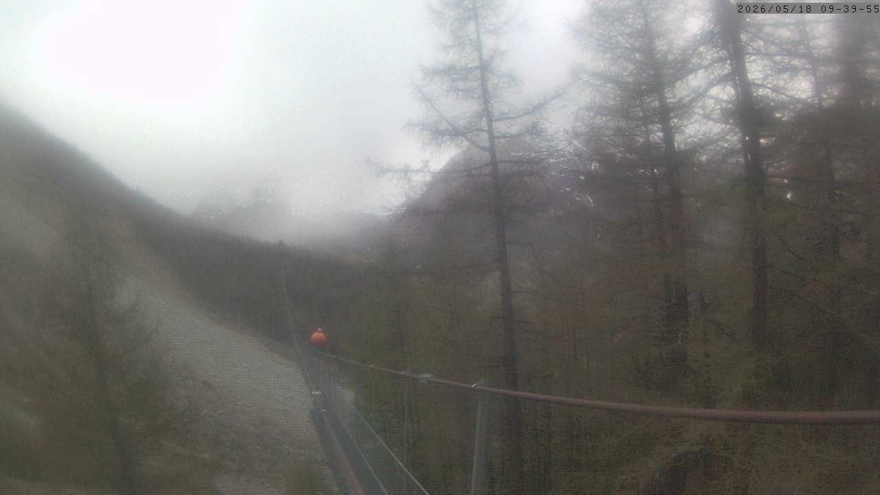 Archiv Foto Webcam Grächen: Charles Kuonen Hängebrücke