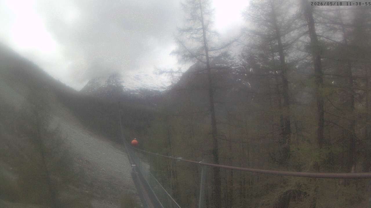 Archiv Foto Webcam Grächen: Charles Kuonen Hängebrücke