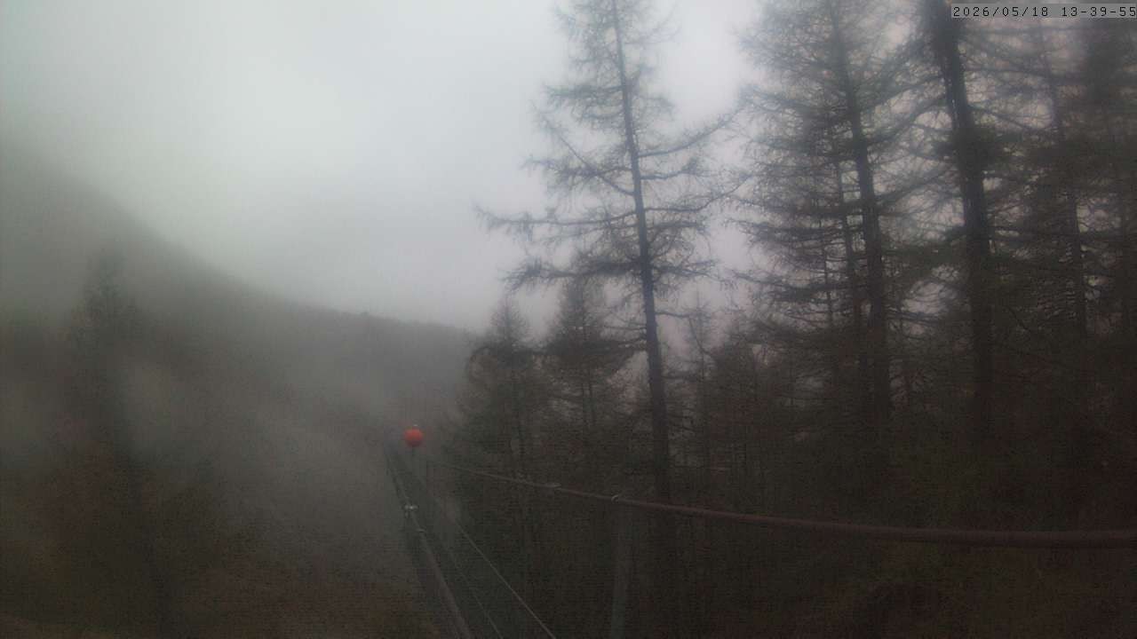 Archiv Foto Webcam Grächen: Charles Kuonen Hängebrücke