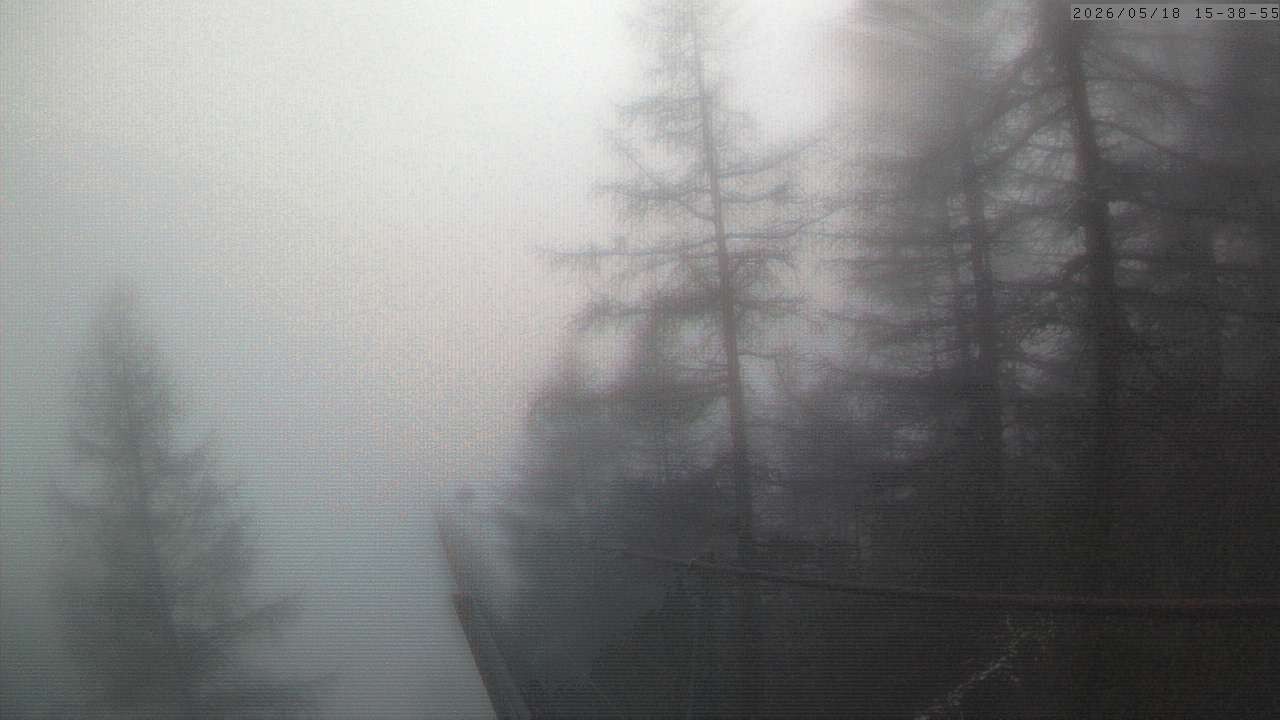 Archiv Foto Webcam Grächen: Charles Kuonen Hängebrücke