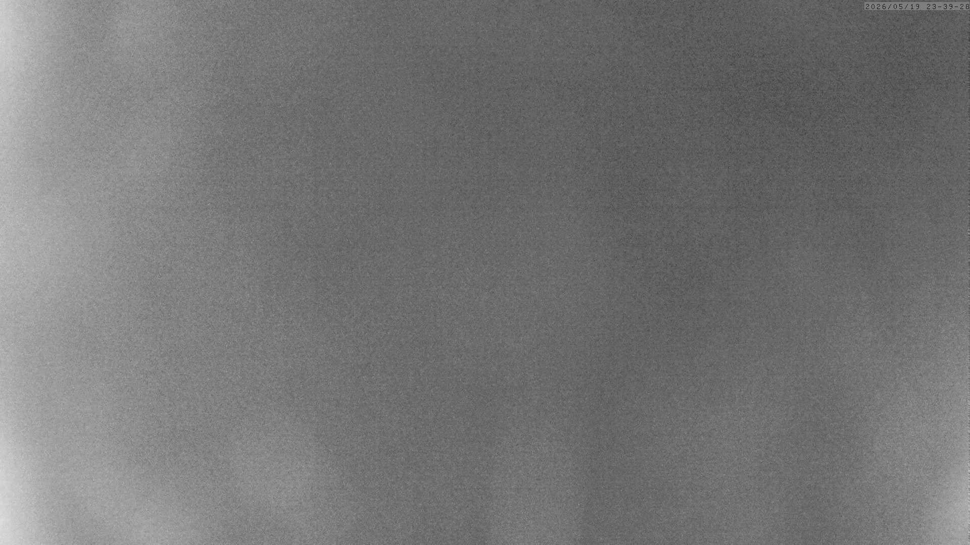 Archiv Foto Webcam Grächen: Charles Kuonen Hängebrücke