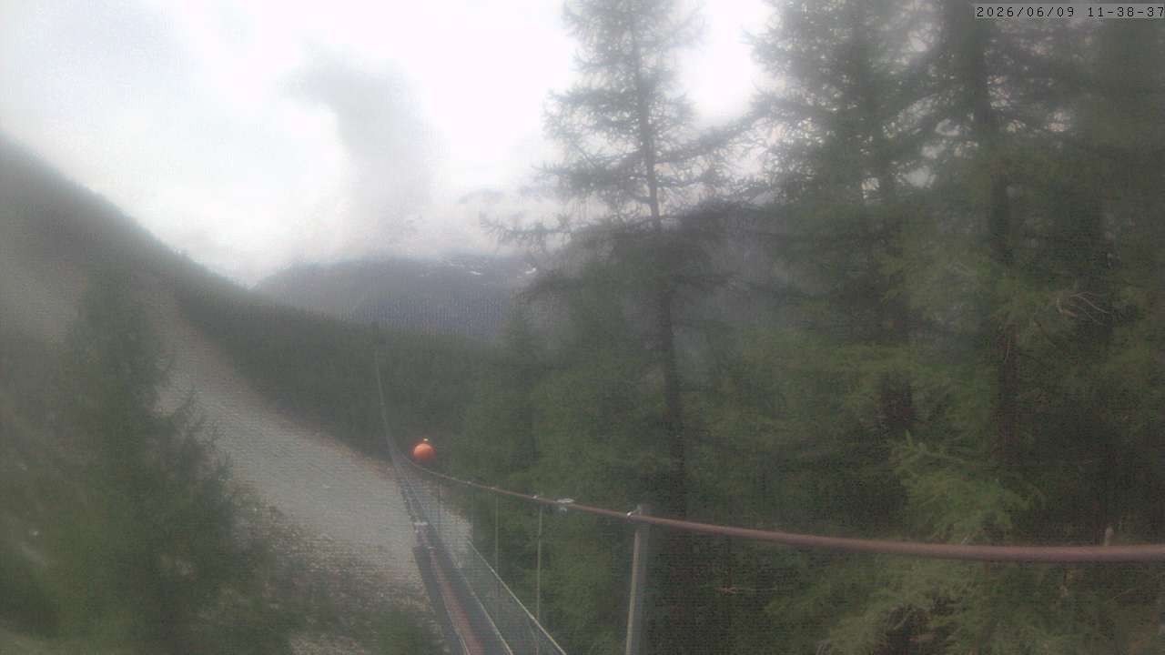 Archiv Foto Webcam Grächen: Charles Kuonen Hängebrücke