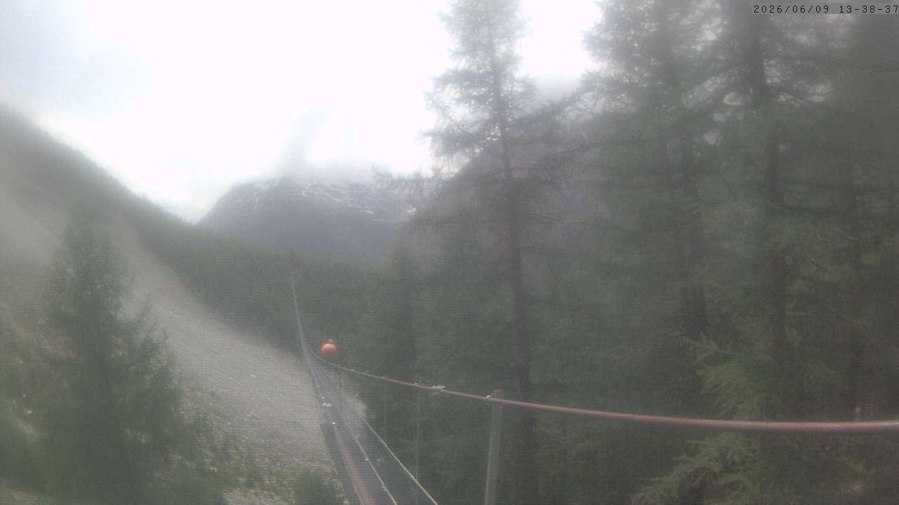Archiv Foto Webcam Grächen: Charles Kuonen Hängebrücke