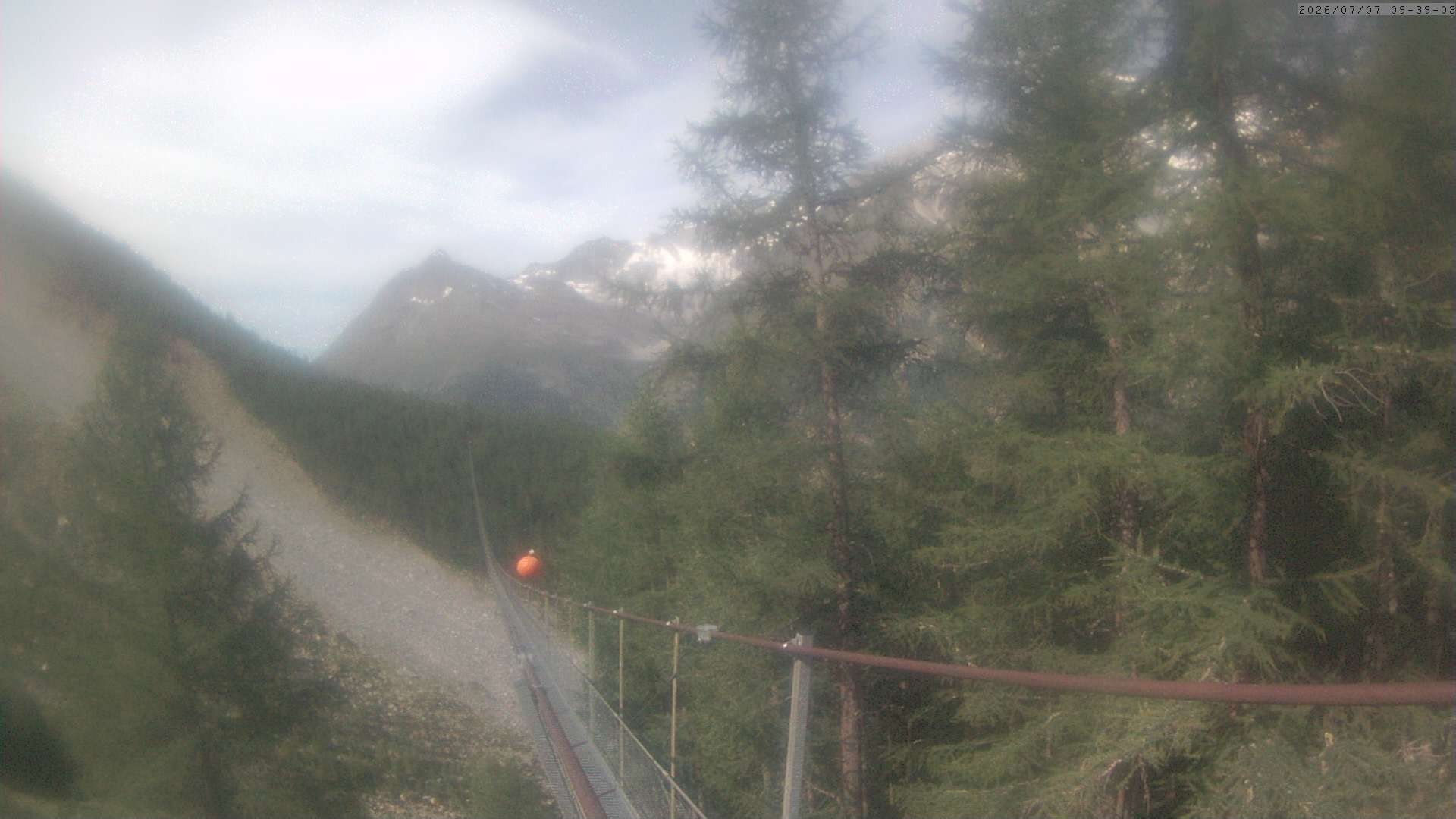 Archiv Foto Webcam Grächen: Charles Kuonen Hängebrücke