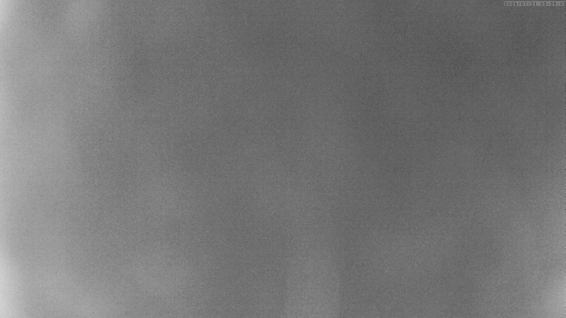 Archiv Foto Webcam Grächen: Charles Kuonen Hängebrücke