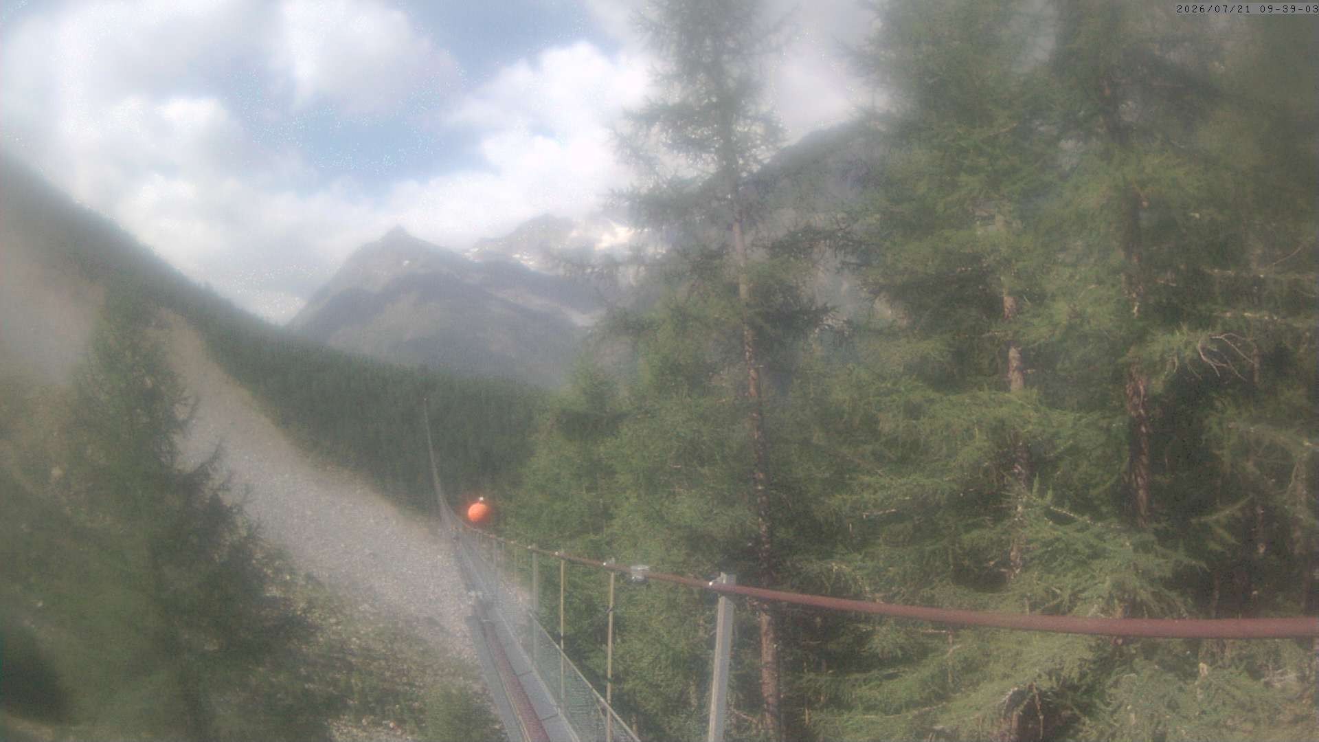 Archiv Foto Webcam Grächen: Charles Kuonen Hängebrücke