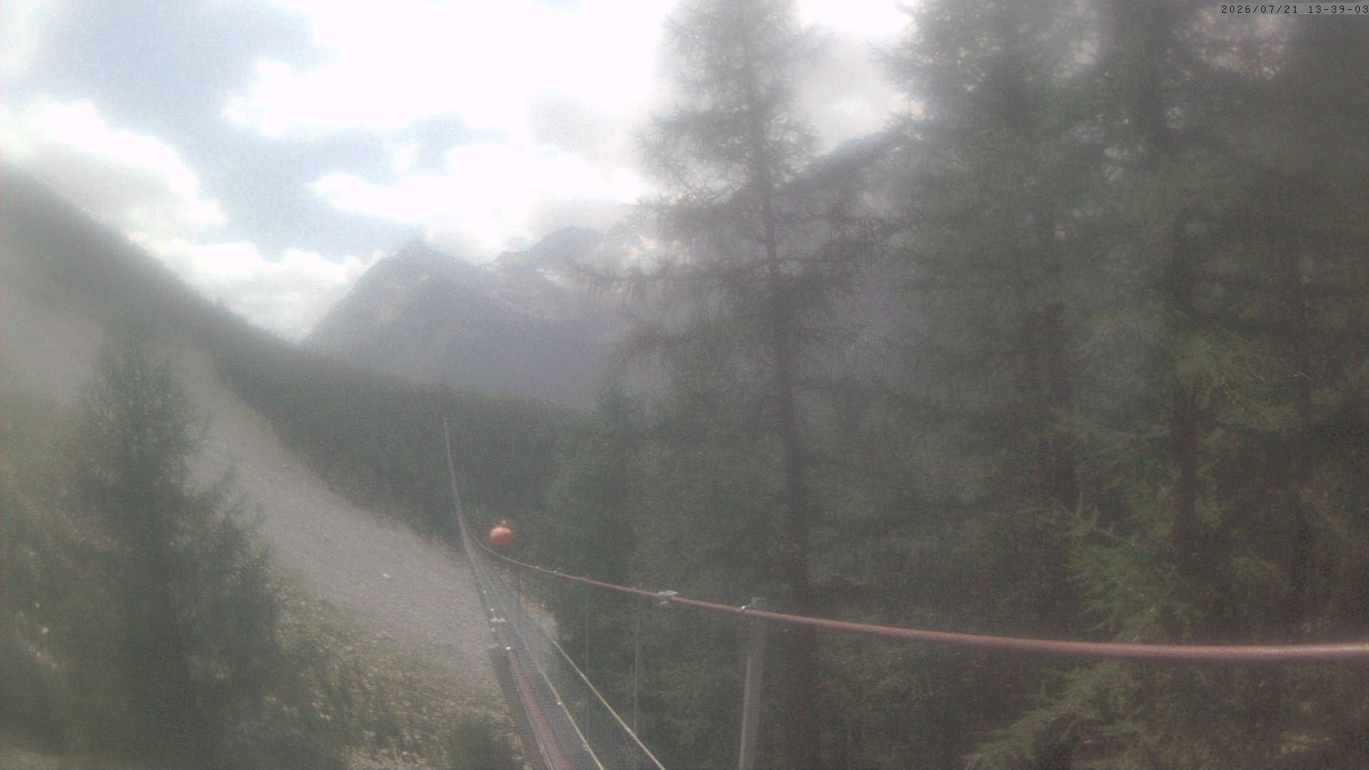 Archiv Foto Webcam Grächen: Charles Kuonen Hängebrücke