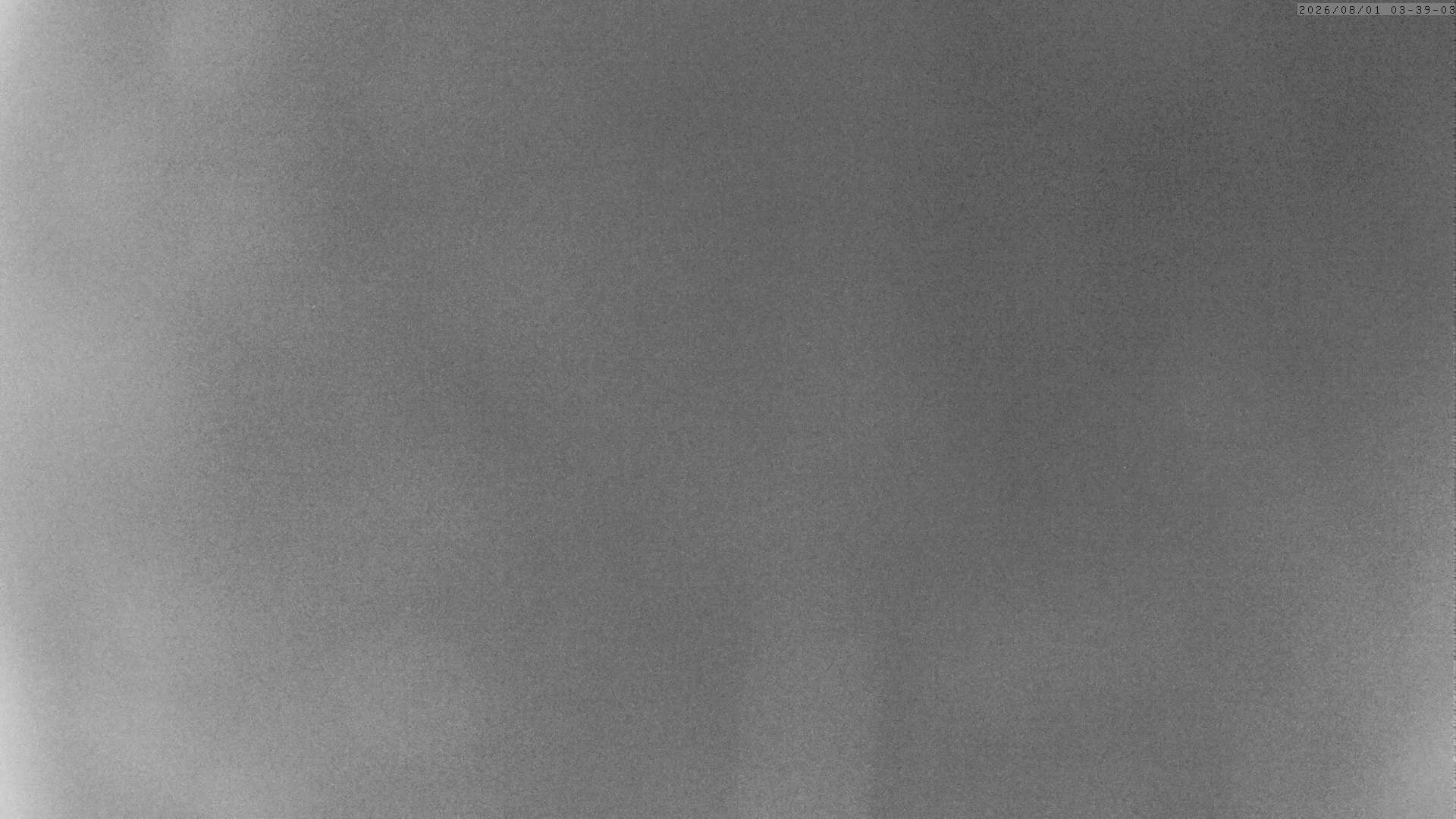 Archived image Webcam Grächen - View Suspension Bridge Charles Kuonen
