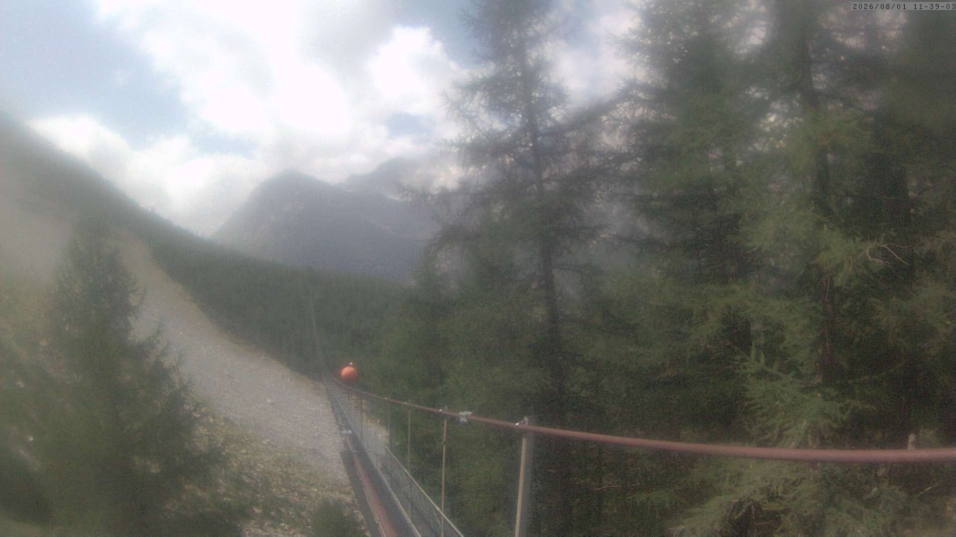 Archived image Webcam Grächen - View Suspension Bridge Charles Kuonen