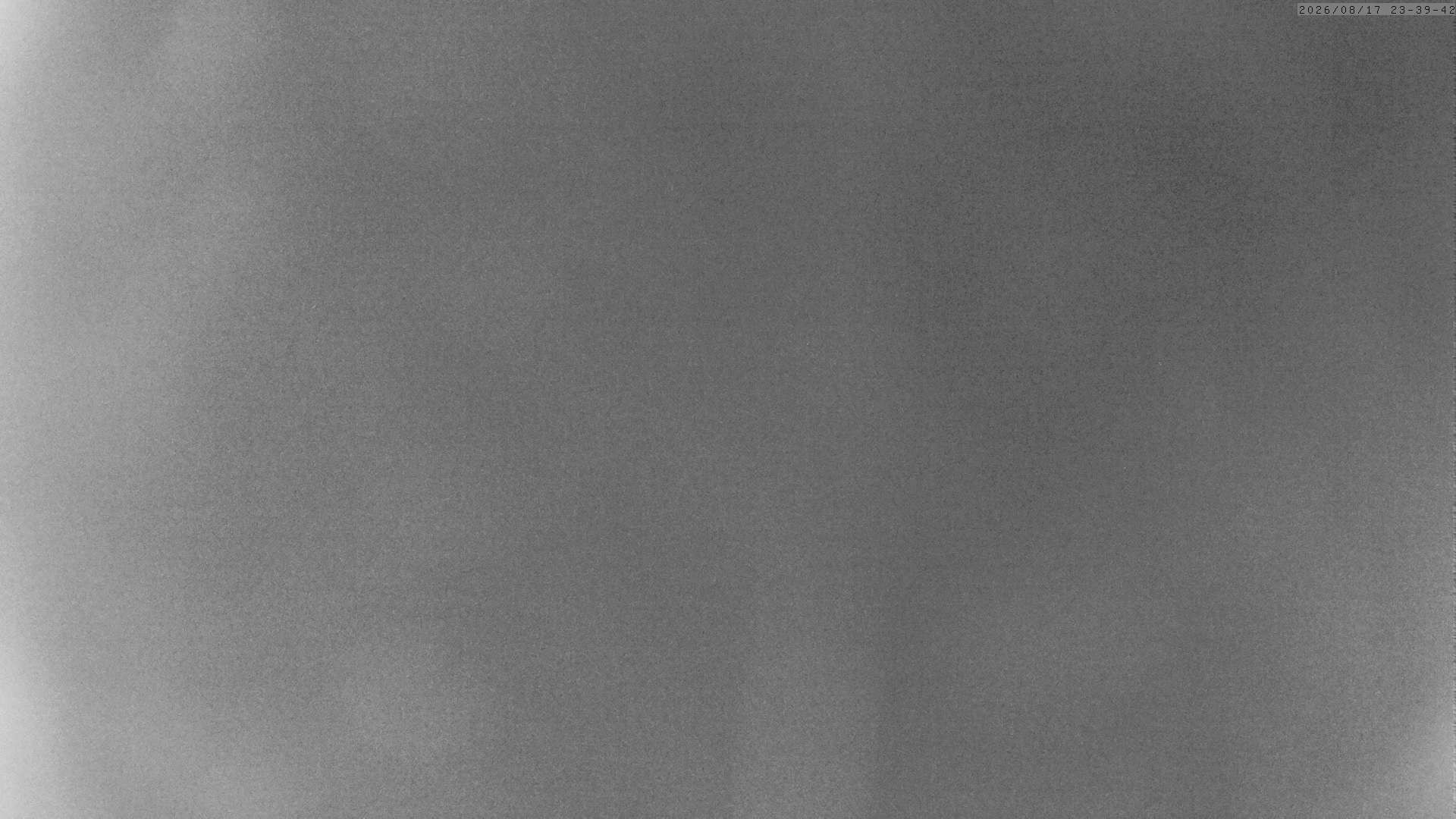 Archiv Foto Webcam Grächen: Charles Kuonen Hängebrücke