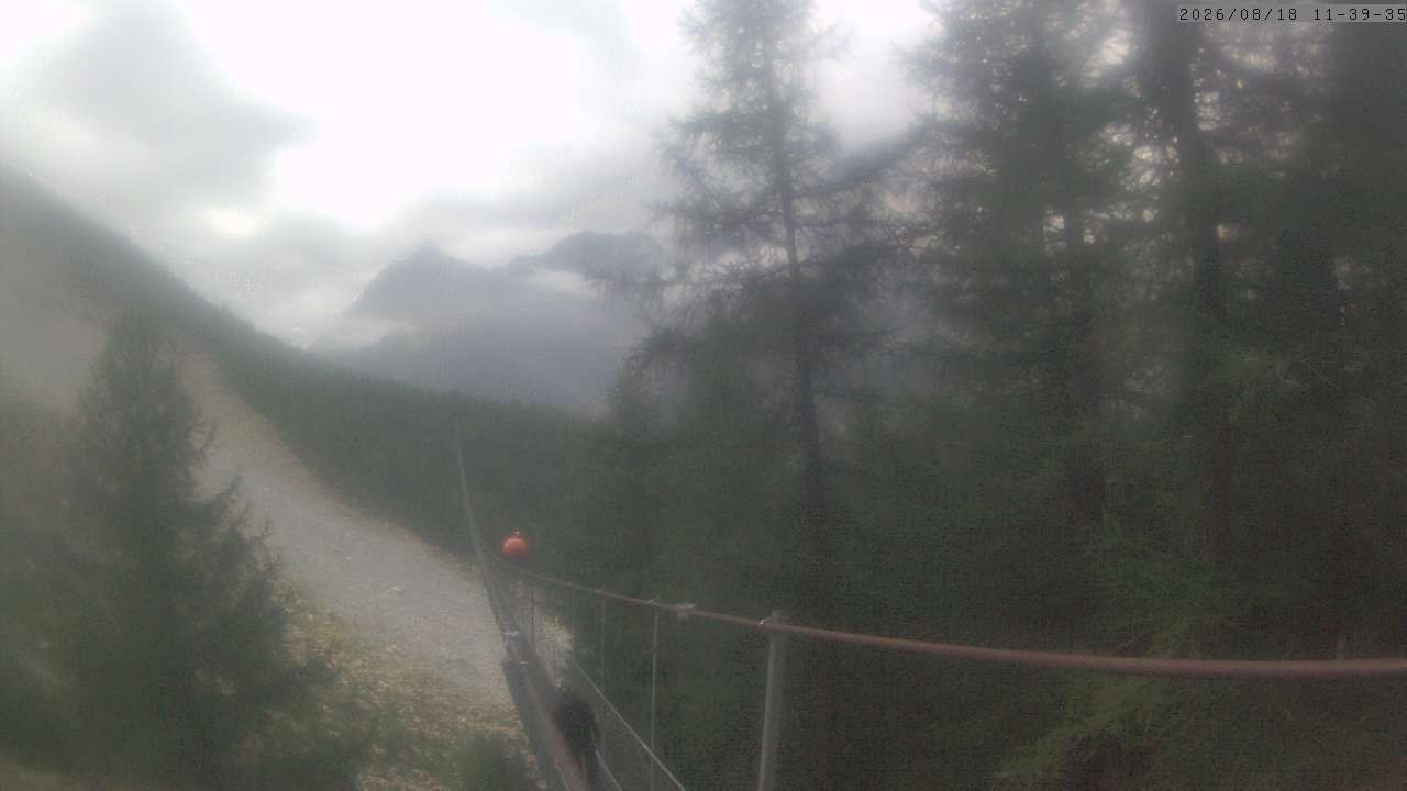 Archiv Foto Webcam Grächen: Charles Kuonen Hängebrücke