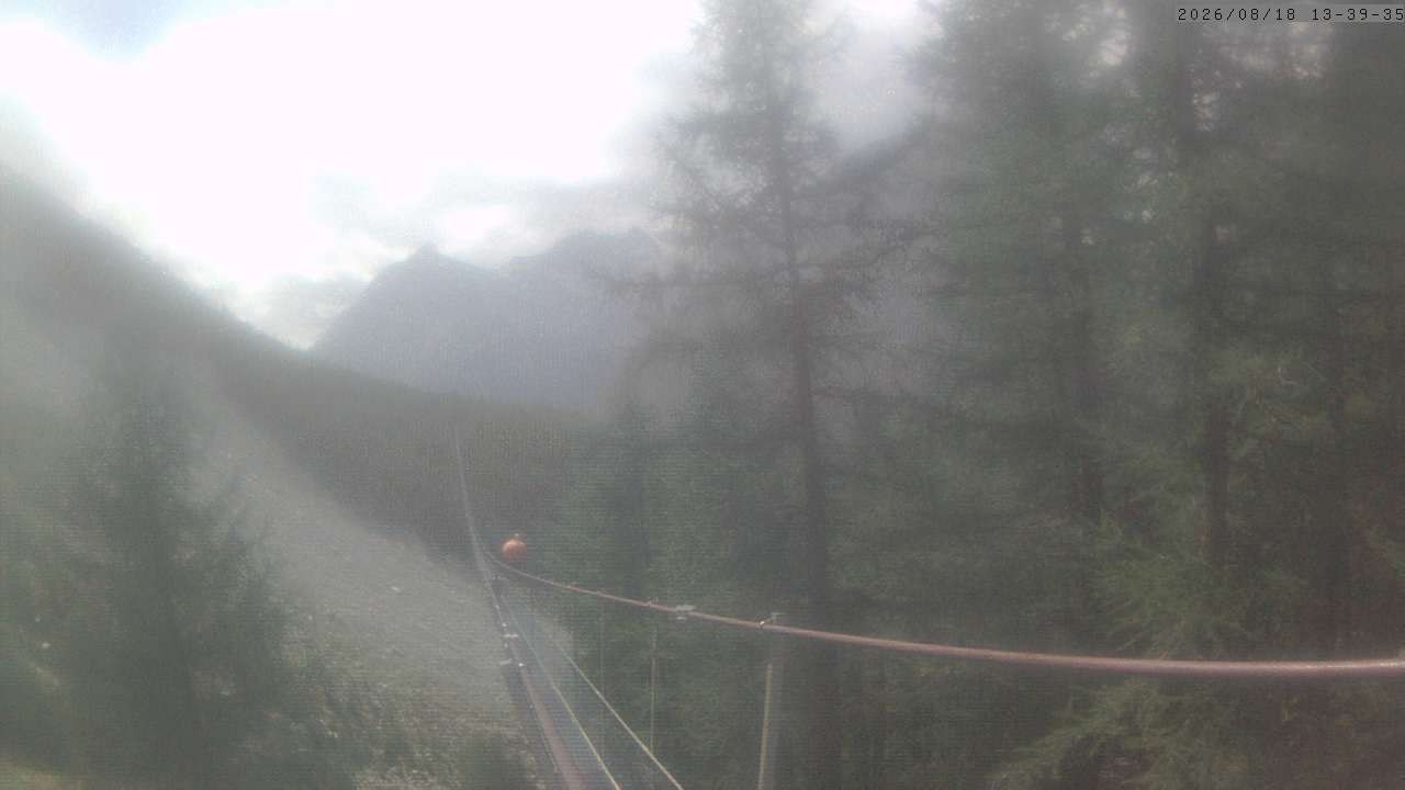 Archiv Foto Webcam Grächen: Charles Kuonen Hängebrücke