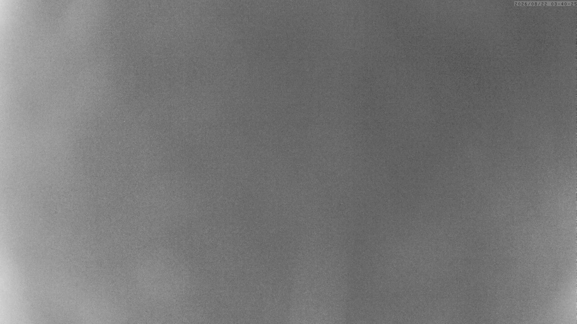 Archiv Foto Webcam Grächen: Charles Kuonen Hängebrücke
