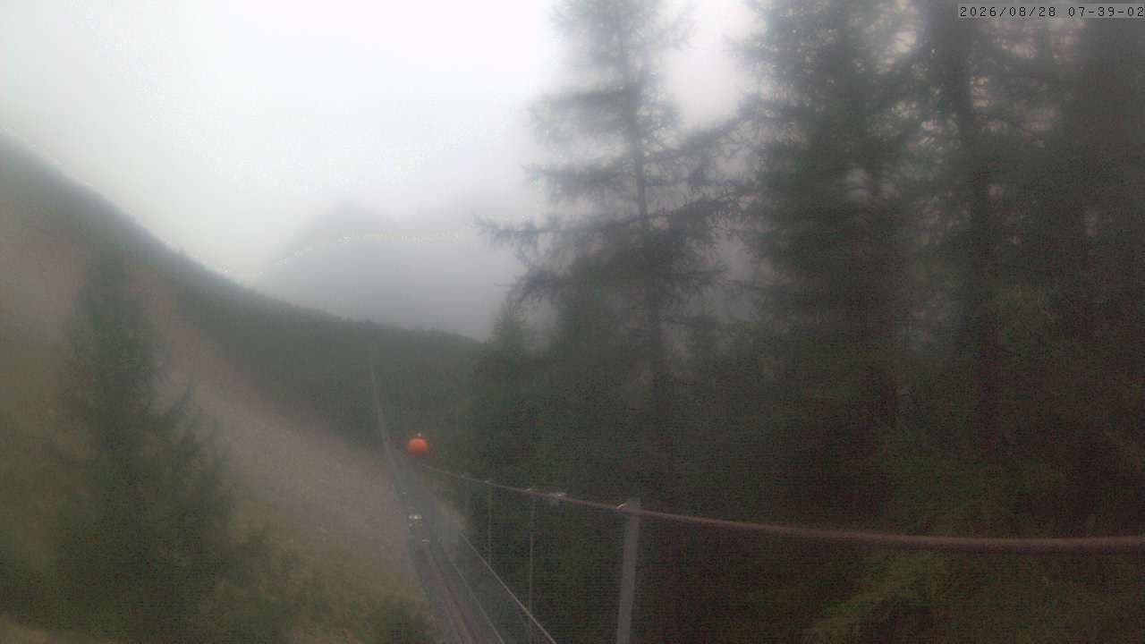 Archiv Foto Webcam Grächen: Charles Kuonen Hängebrücke