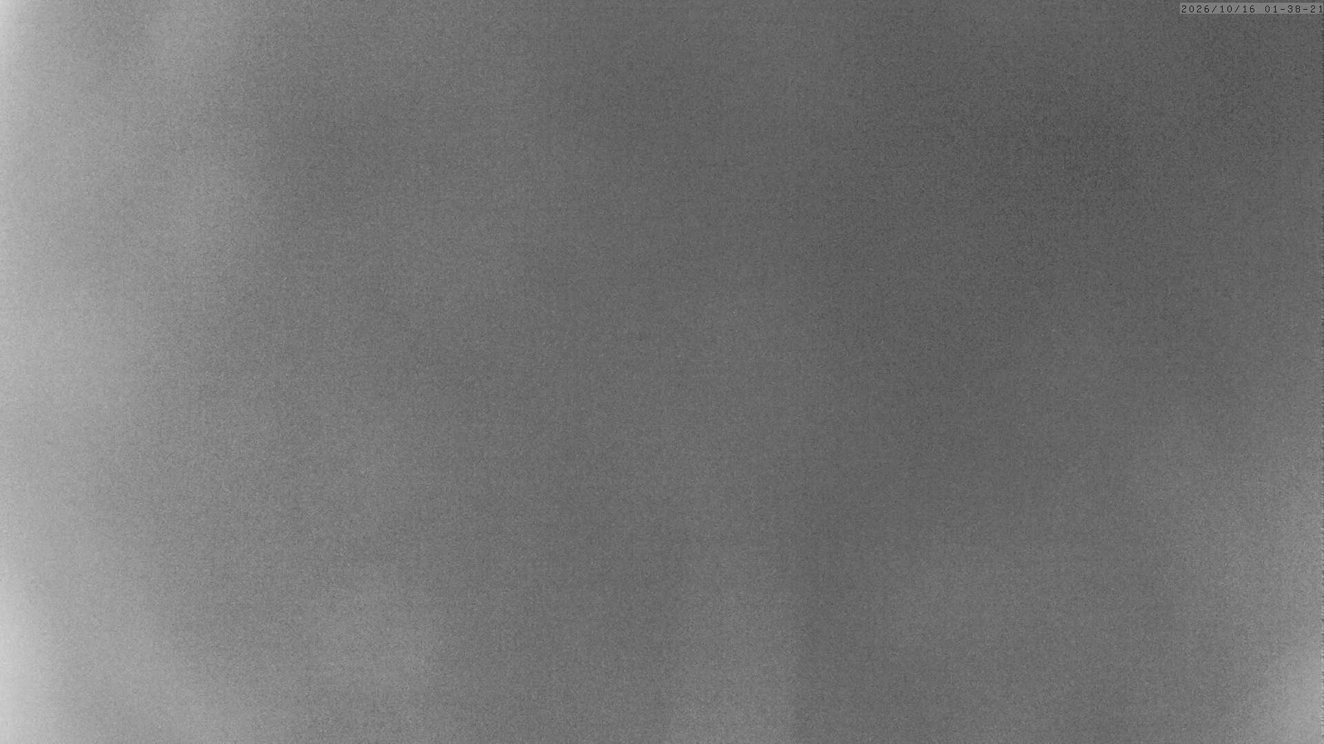 Archiv Foto Webcam Grächen: Charles Kuonen Hängebrücke