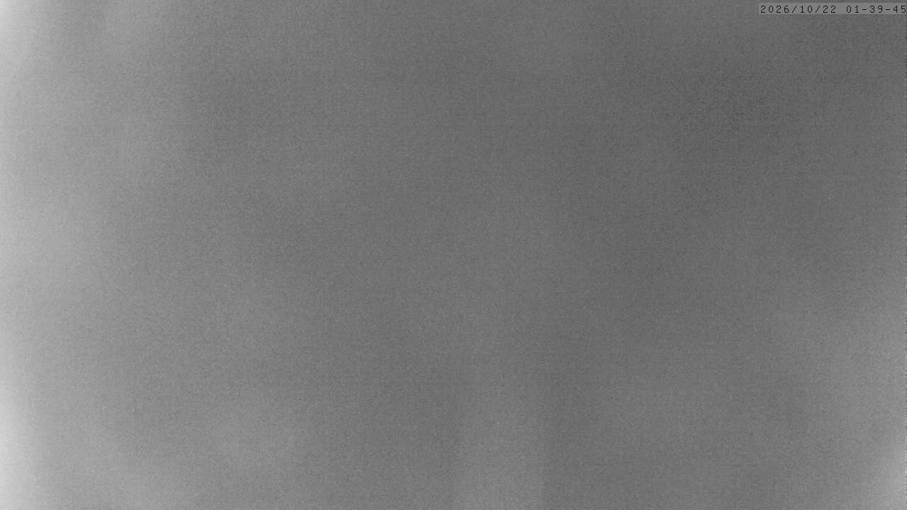 Archiv Foto Webcam Grächen: Charles Kuonen Hängebrücke