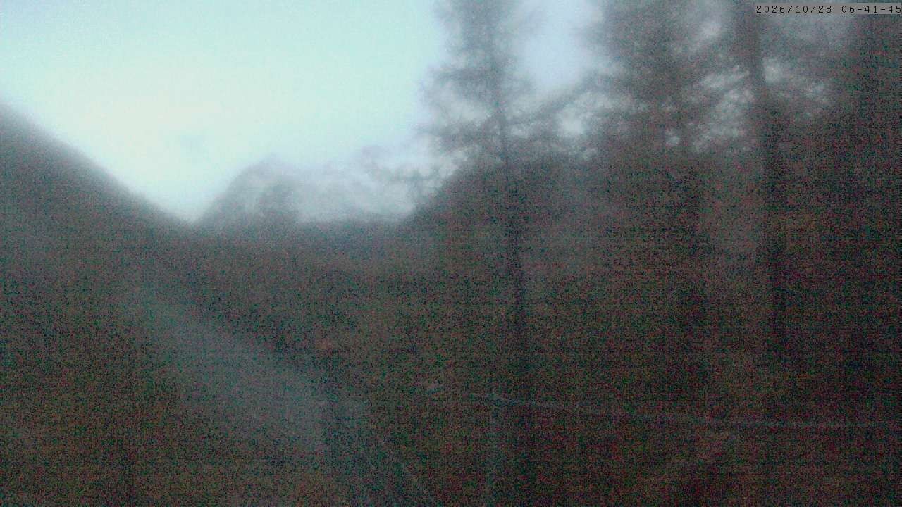 Archived image Webcam Grächen - View Suspension Bridge Charles Kuonen