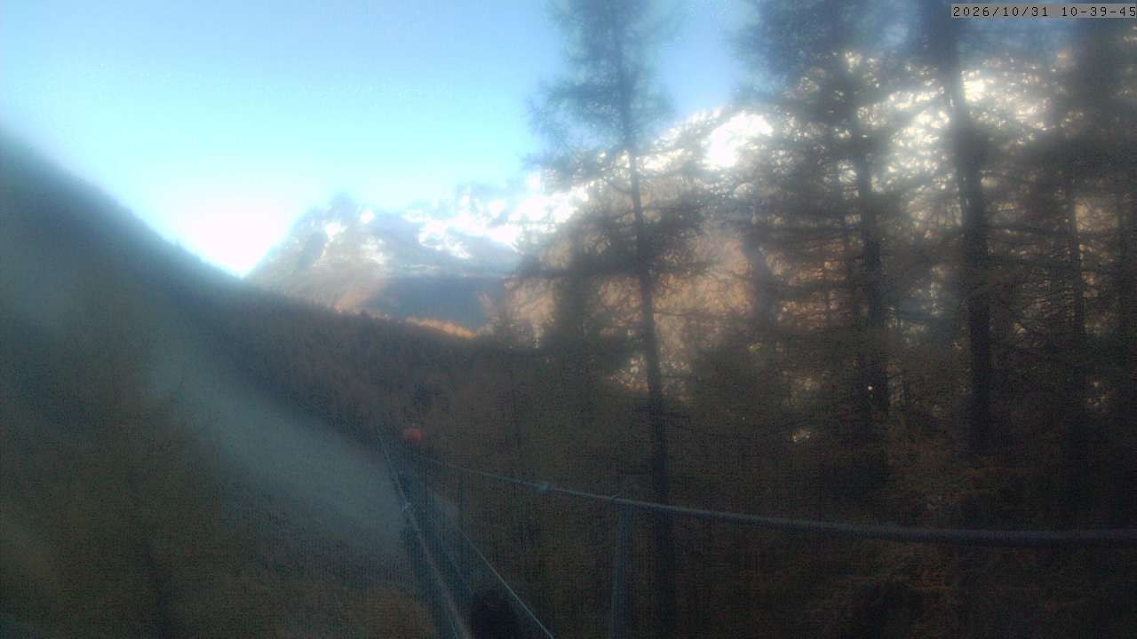 Archiv Foto Webcam Grächen: Charles Kuonen Hängebrücke