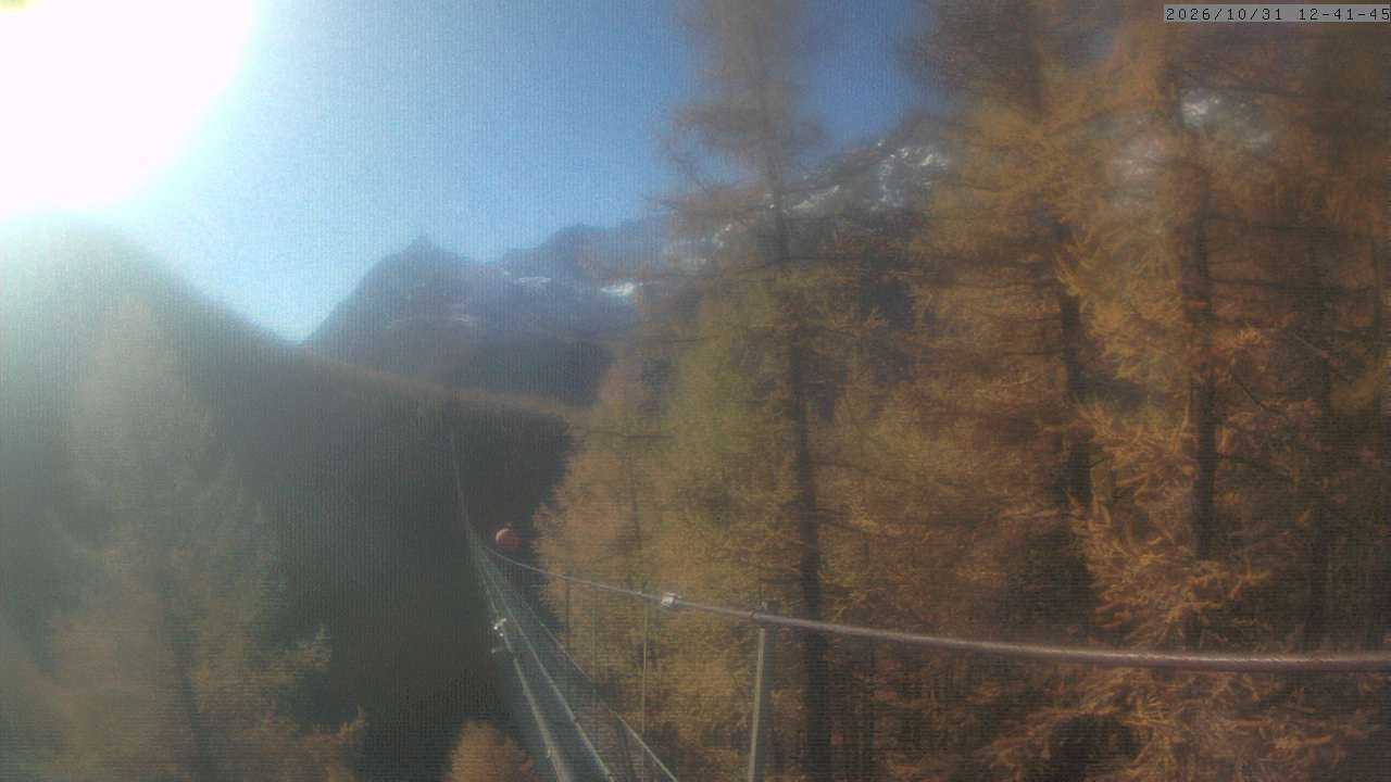 Archiv Foto Webcam Grächen: Charles Kuonen Hängebrücke