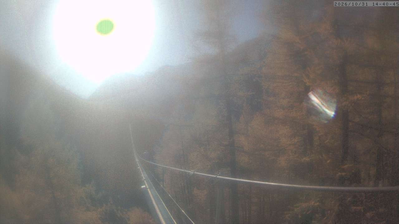 Archiv Foto Webcam Grächen: Charles Kuonen Hängebrücke