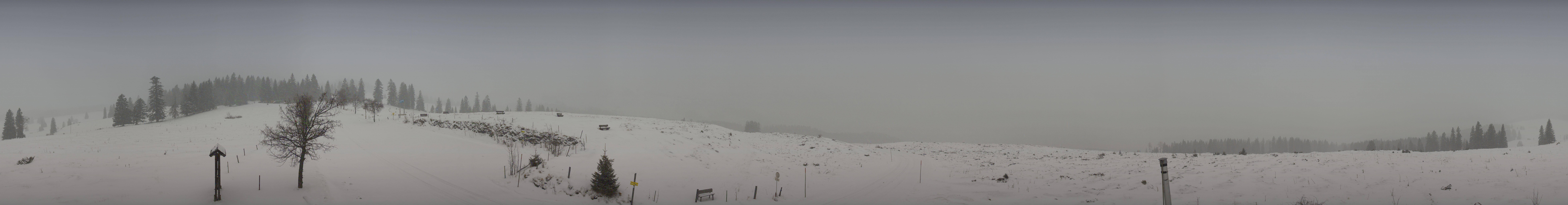 Archived image Webcam Postalm: Panoramic view