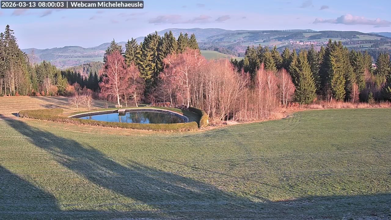 Archiv Foto Webcam Thurnerspur - St. Peter und St. Märgen