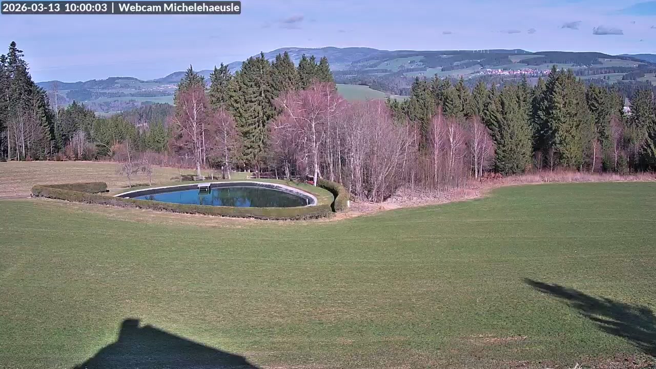 Archiv Foto Webcam Thurnerspur - St. Peter und St. Märgen