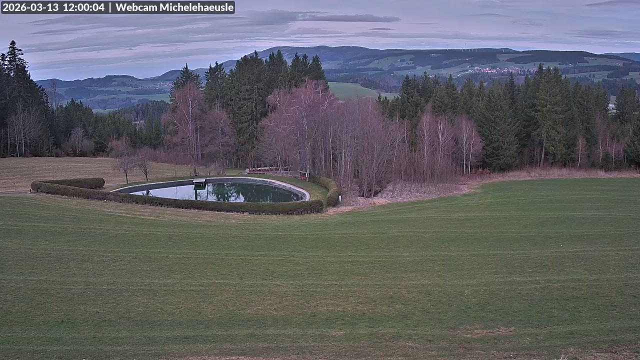 Archiv Foto Webcam Thurnerspur - St. Peter und St. Märgen