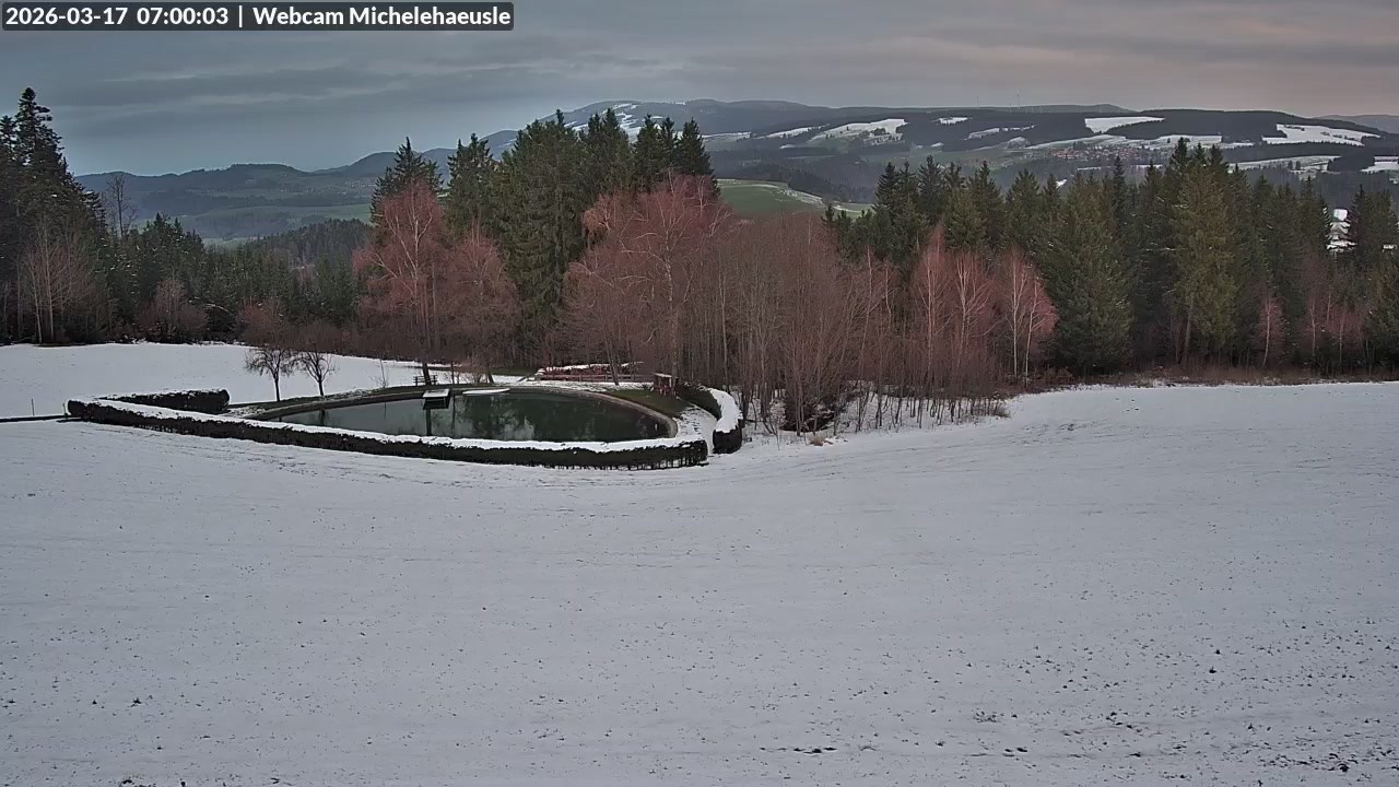 Archiv Foto Webcam Thurnerspur - St. Peter und St. Märgen