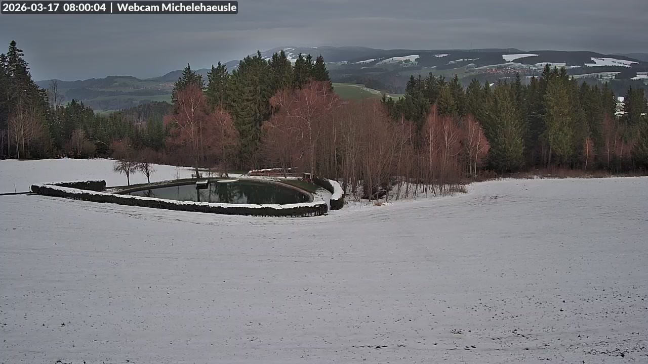 Archiv Foto Webcam Thurnerspur - St. Peter und St. Märgen