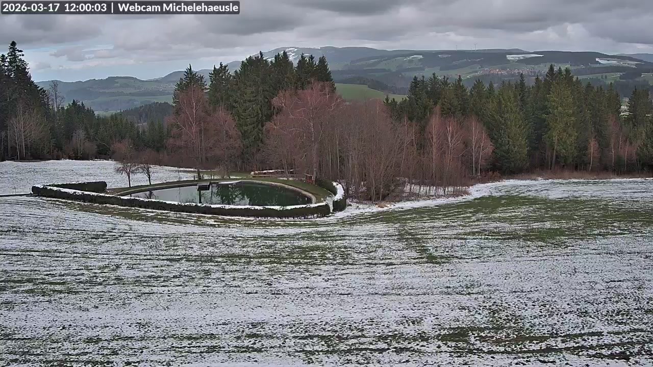 Archiv Foto Webcam Thurnerspur - St. Peter und St. Märgen