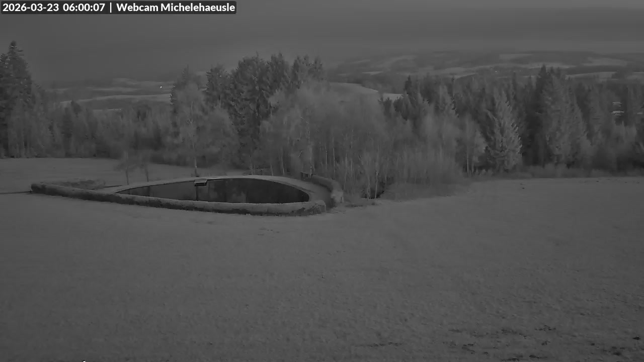 Archived image Webcam View over St. Peter and St. Märgen Thurnerspur