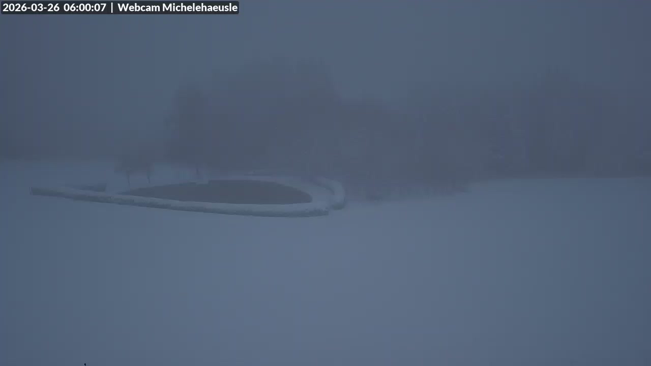 Archiv Foto Webcam Thurnerspur - St. Peter und St. Märgen