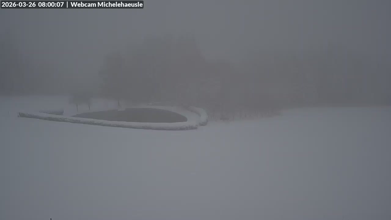 Archiv Foto Webcam Thurnerspur - St. Peter und St. Märgen