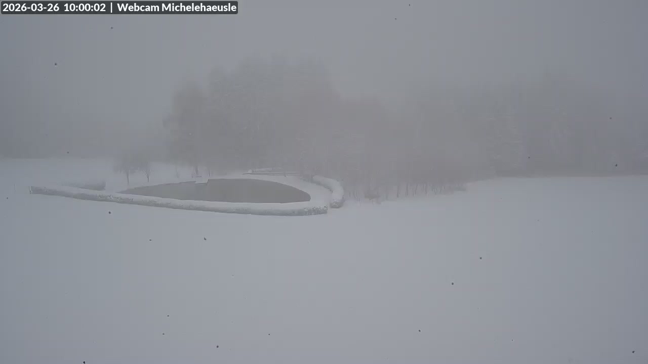 Archiv Foto Webcam Thurnerspur - St. Peter und St. Märgen