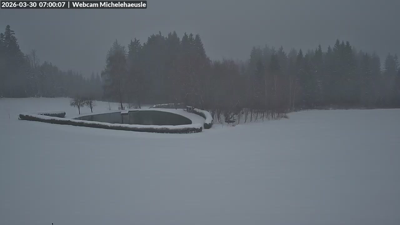 Archiv Foto Webcam Thurnerspur - St. Peter und St. Märgen