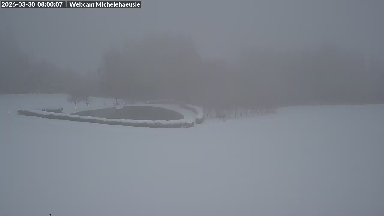 Archiv Foto Webcam Thurnerspur - St. Peter und St. Märgen