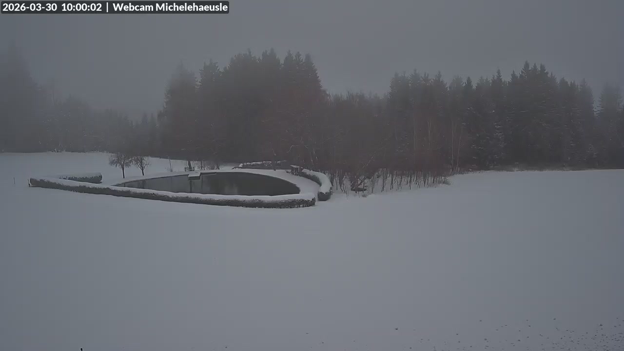 Archiv Foto Webcam Thurnerspur - St. Peter und St. Märgen