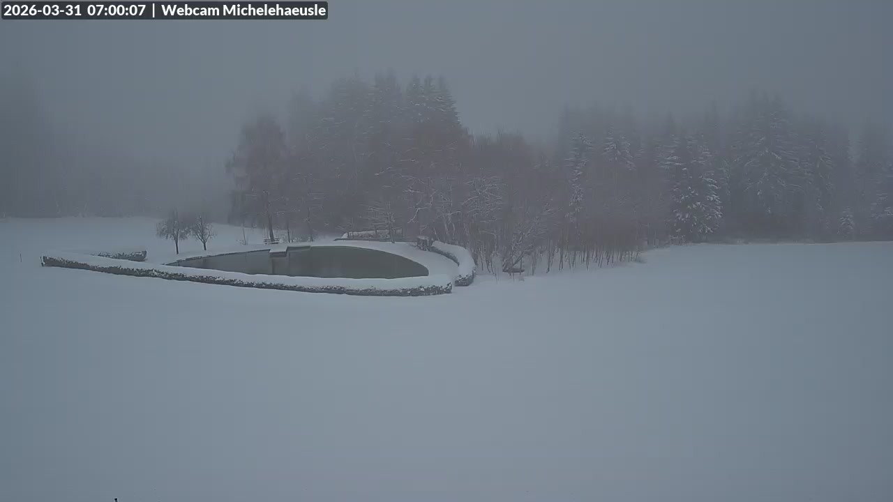 Archiv Foto Webcam Thurnerspur - St. Peter und St. Märgen