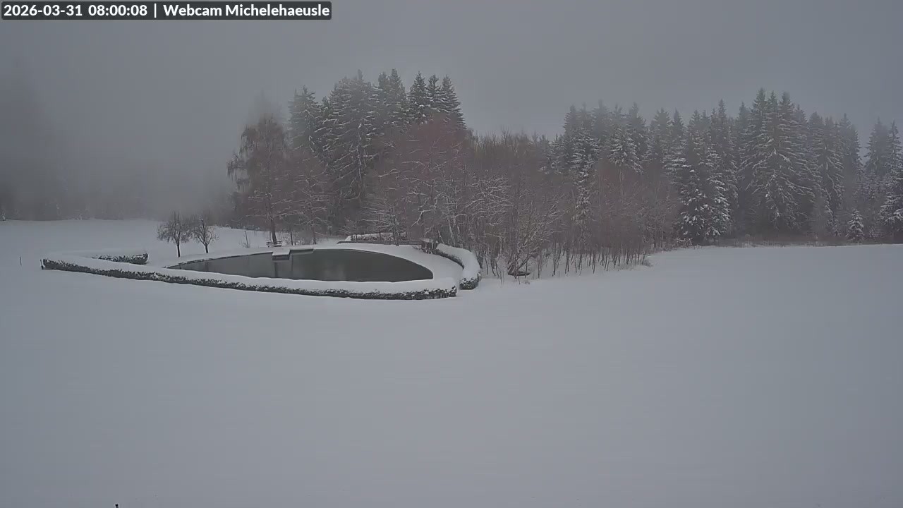 Archiv Foto Webcam Thurnerspur - St. Peter und St. Märgen