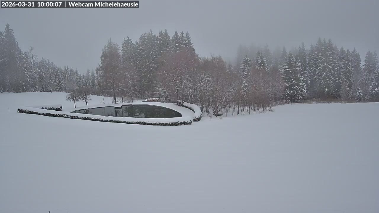 Archiv Foto Webcam Thurnerspur - St. Peter und St. Märgen